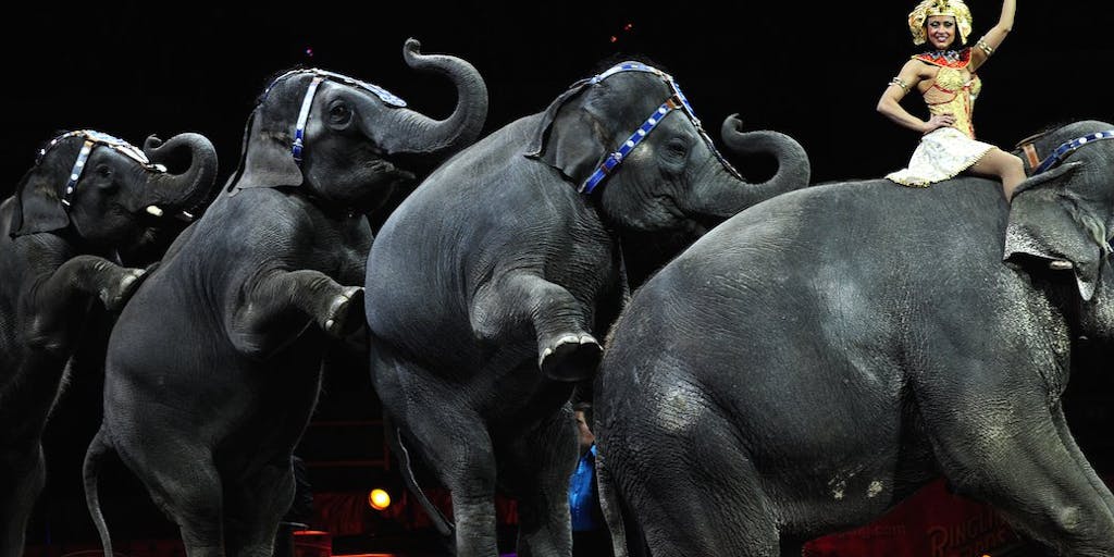 Ringling Brothers Circus Phases Out Elephants By 2018 | The New Republic Ringling Brothers Circus Phases Out Elephants By 2018 | The New Republic