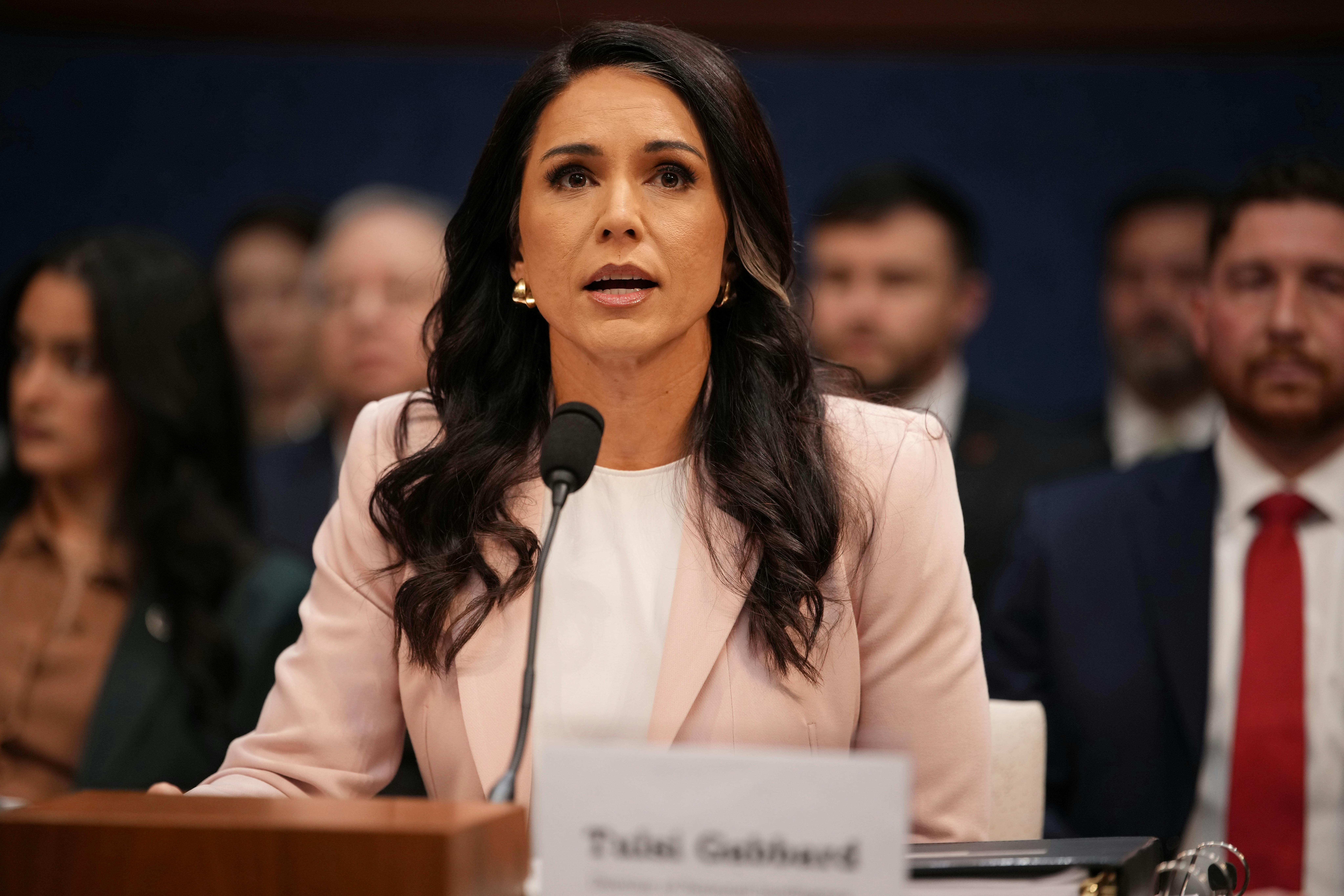 Tusli Gabbard testifies in Congress.