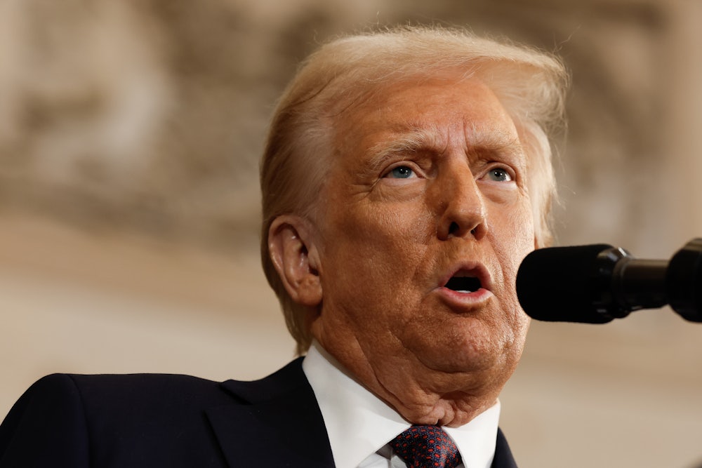 Donald Trump speaks into a microphone