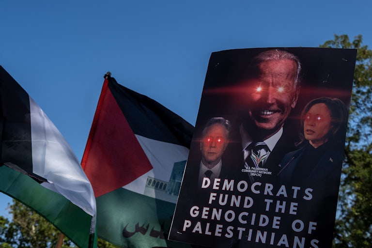People hold up Palestinian flags and protest signs outside the Democratic National Convention