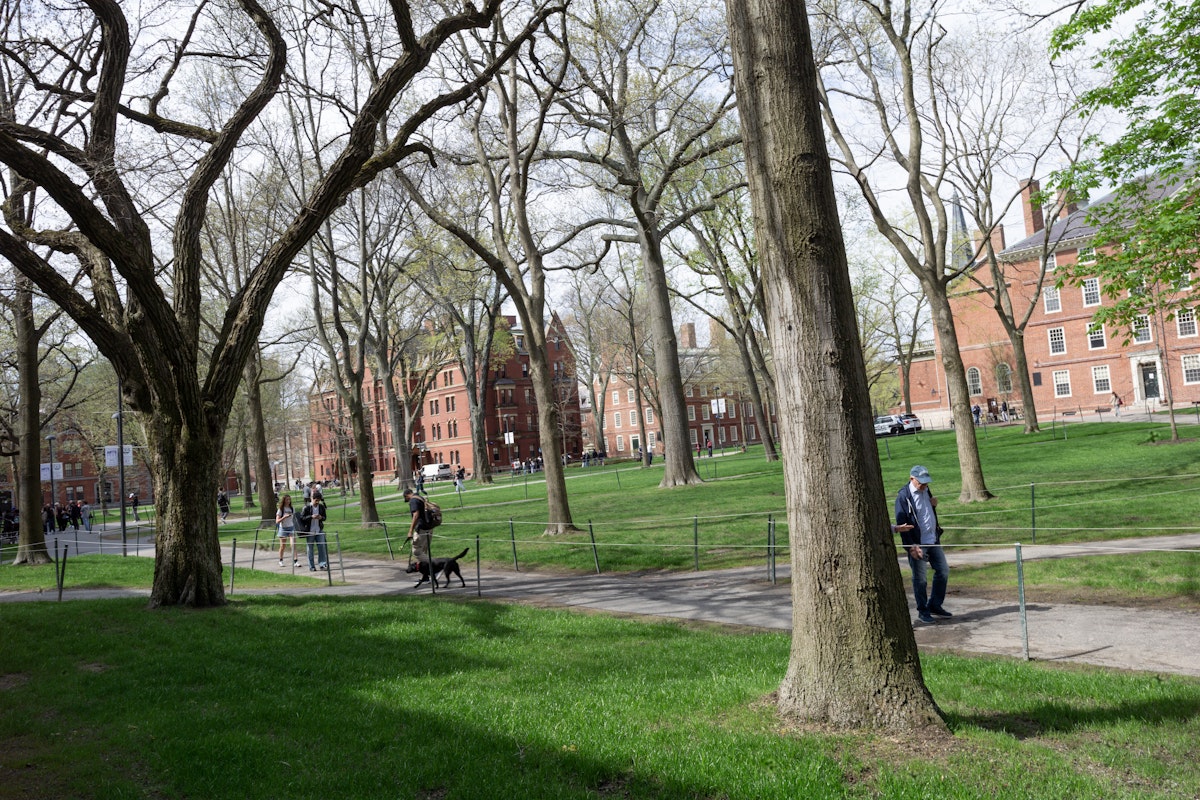 Judge Throws Wrench in Trump’s Crackdown on International Students Judge Throws Wrench in Trump’s Crackdown on International Students