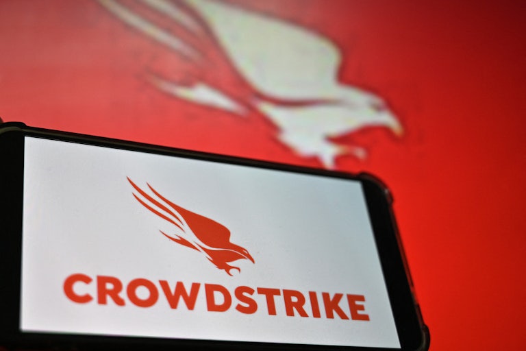 The logo for CrowdStrike is seen on a digital screen