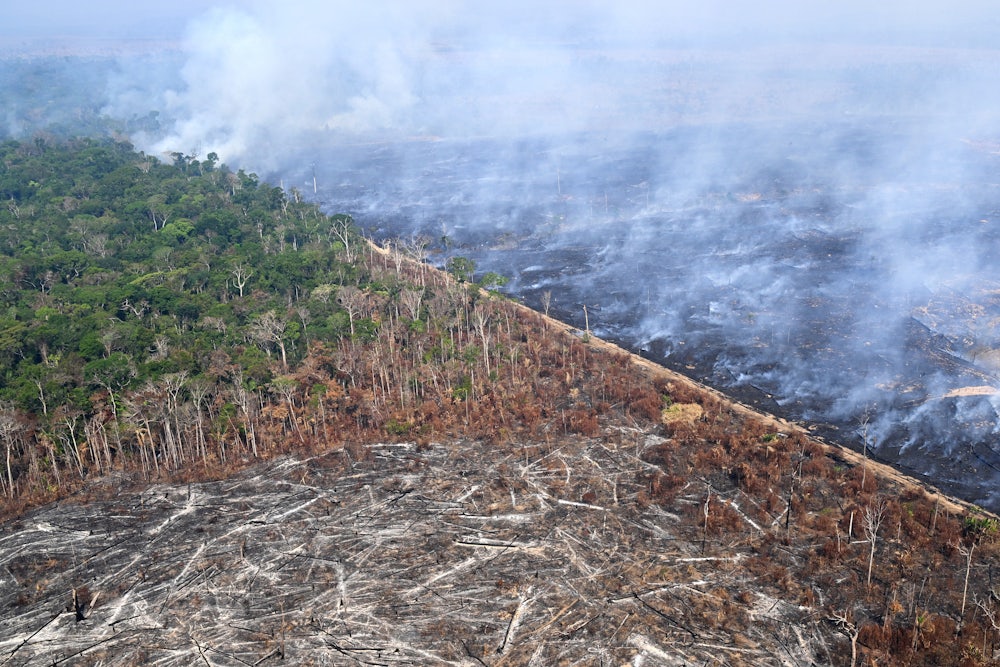 Illegal fire in the Amazon rainforest in August 2024