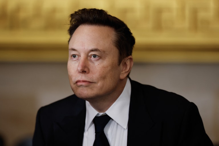 Elon Musk stands in the Capitol ahead of Donald Trump’s inauguration