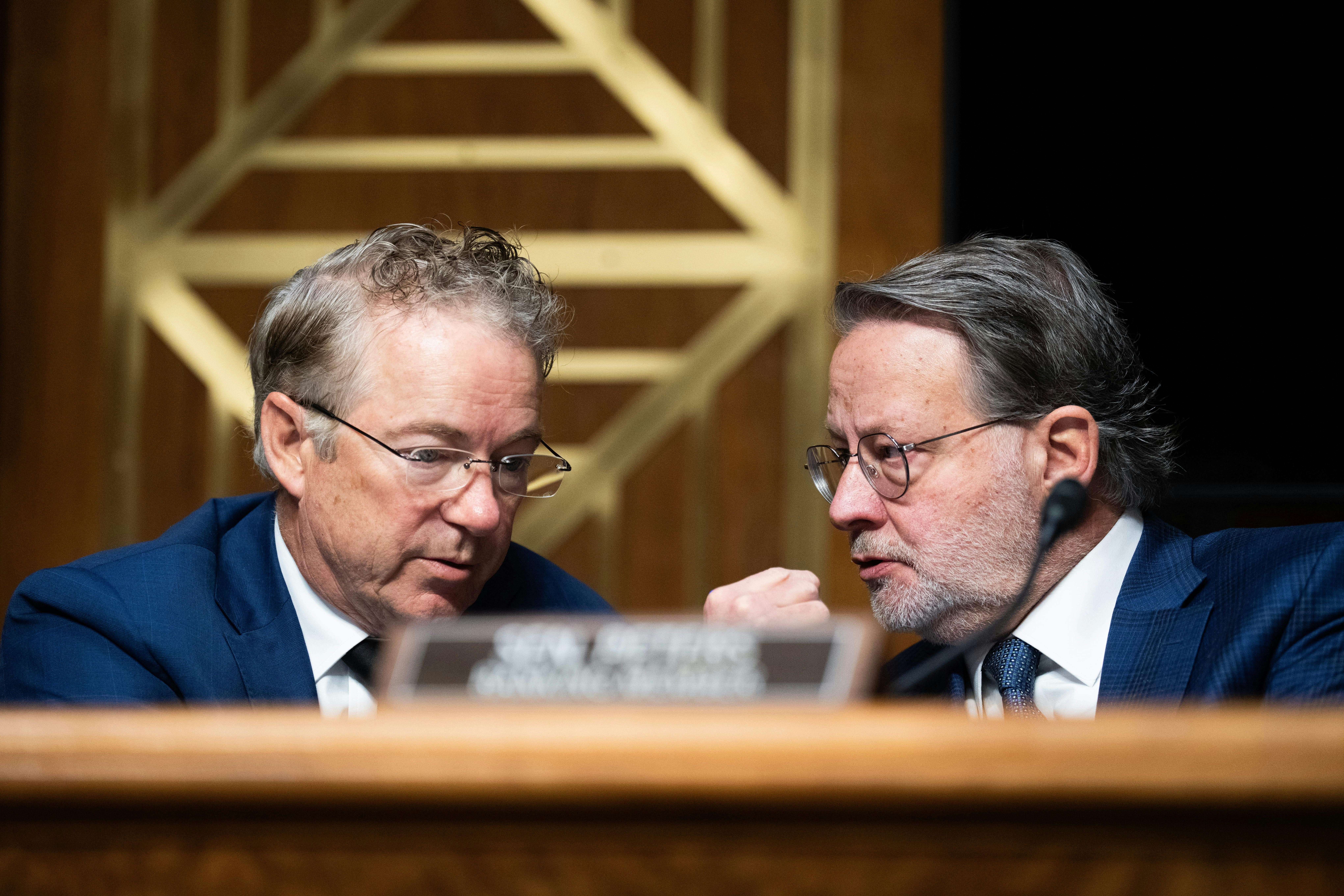 Senators Rand Paul and Gary Peters speak during a Senate hearing