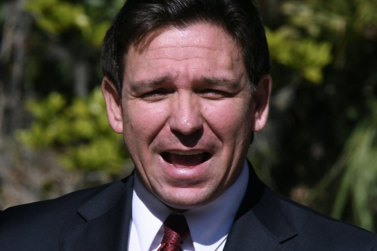 DeSantis Is in a Feud With Libs of TikTok, in Funniest Twist of Events (newrepublic.com)