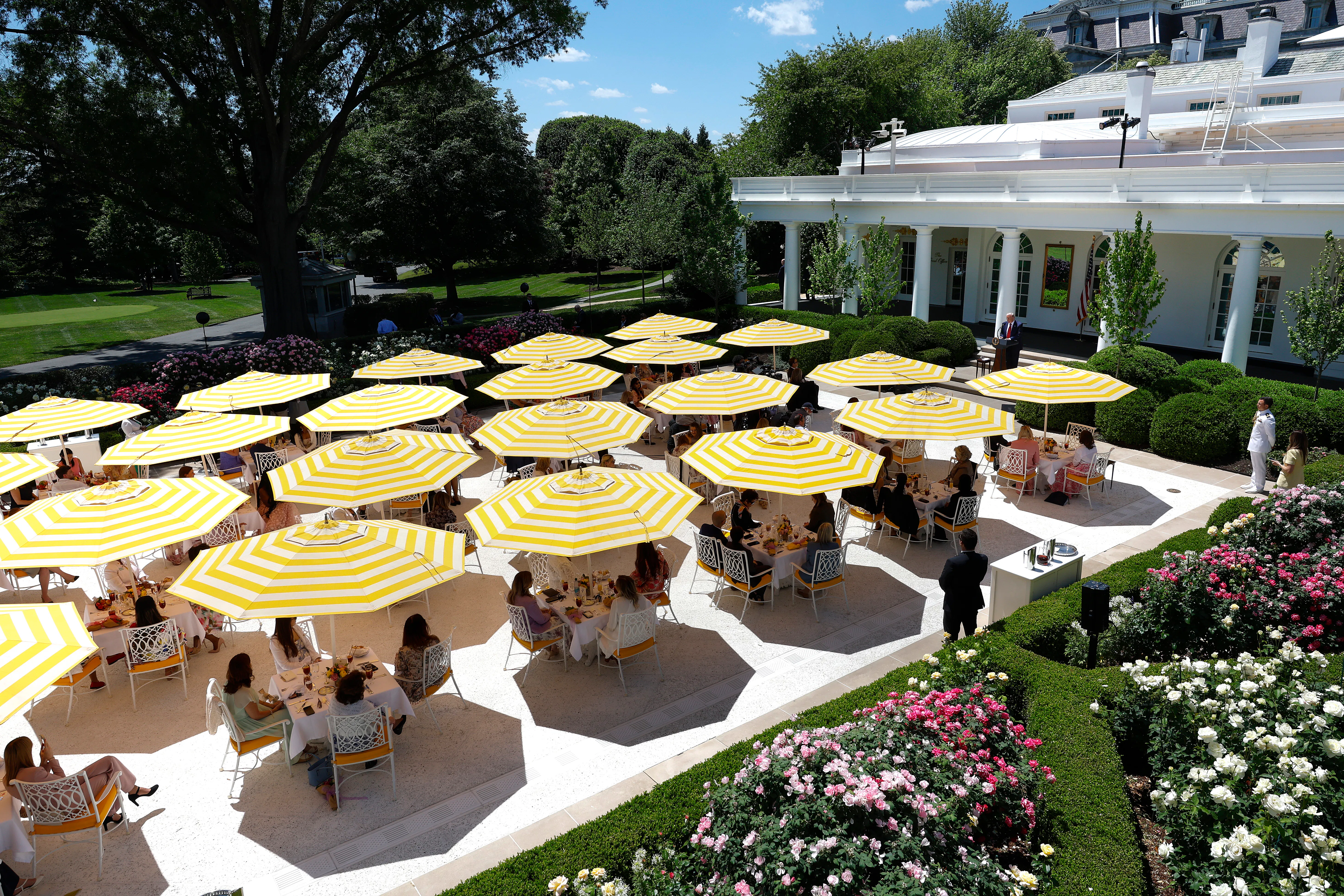 Ugly yellow and white striped umbrellas above tables on the Rose Garden patio