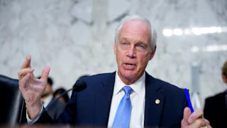 Senator Ron Johnson speaks in a congressional hearing.