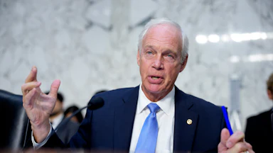 Senator Ron Johnson speaks in a congressional hearing.