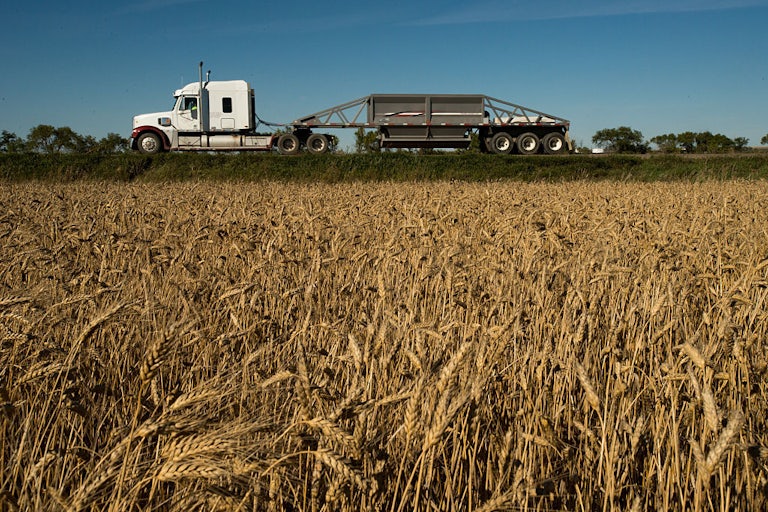 A truck drives past a field of wheat.