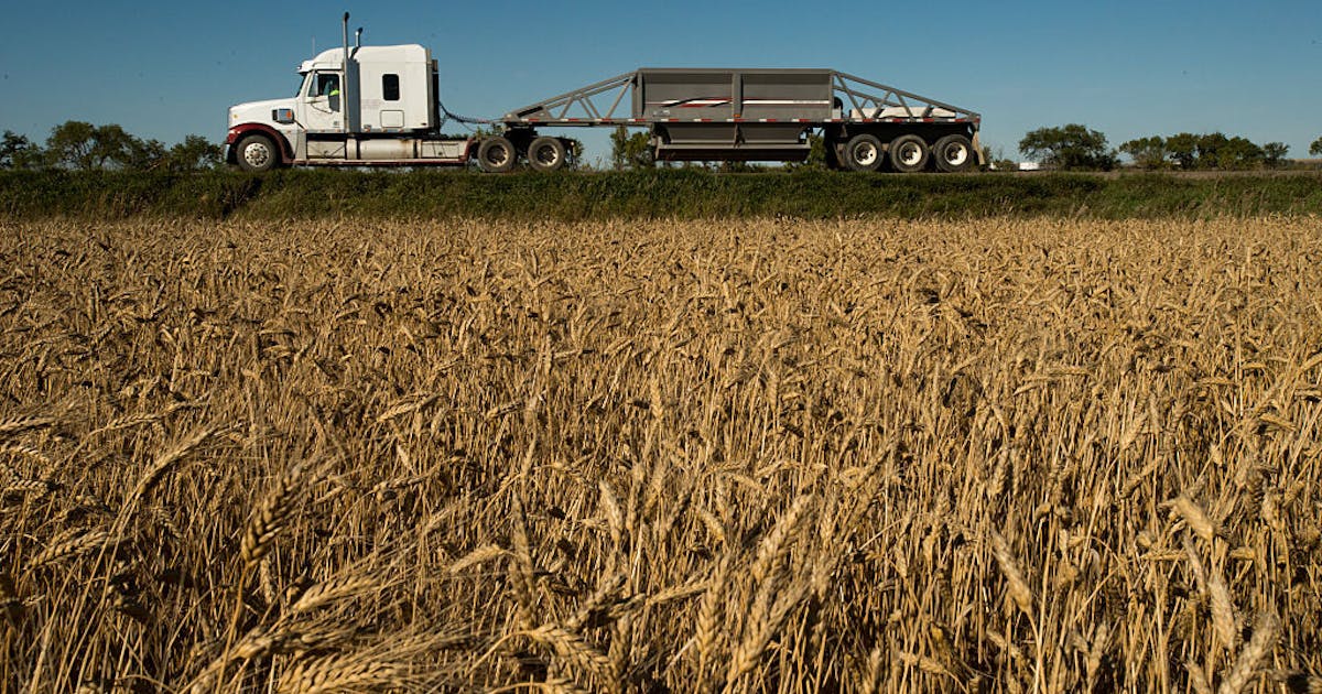 How to Avoid Food System Collapse Biology Diagrams