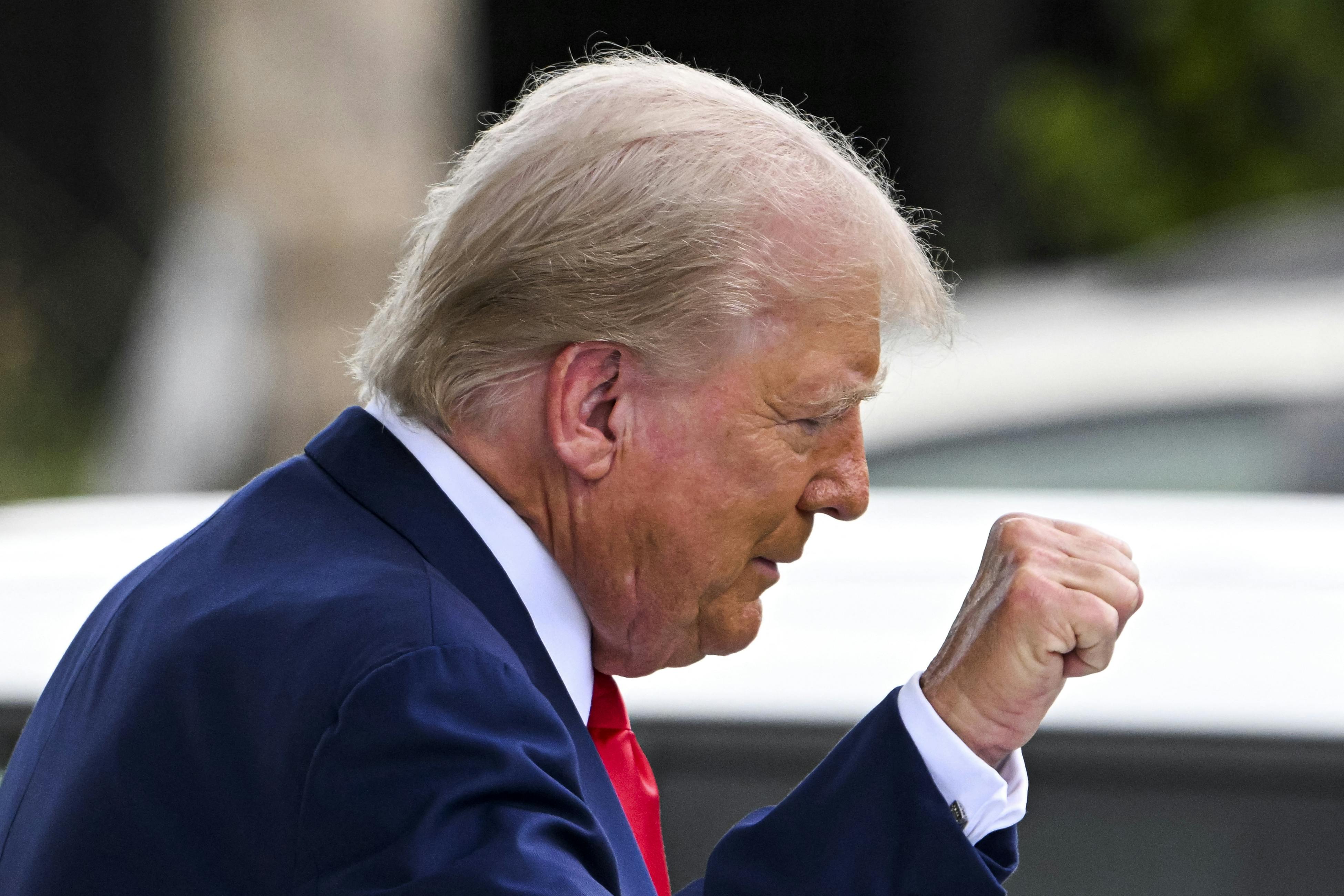 A picture of former President Donald Trump in profile. He is raising his fist in the air.