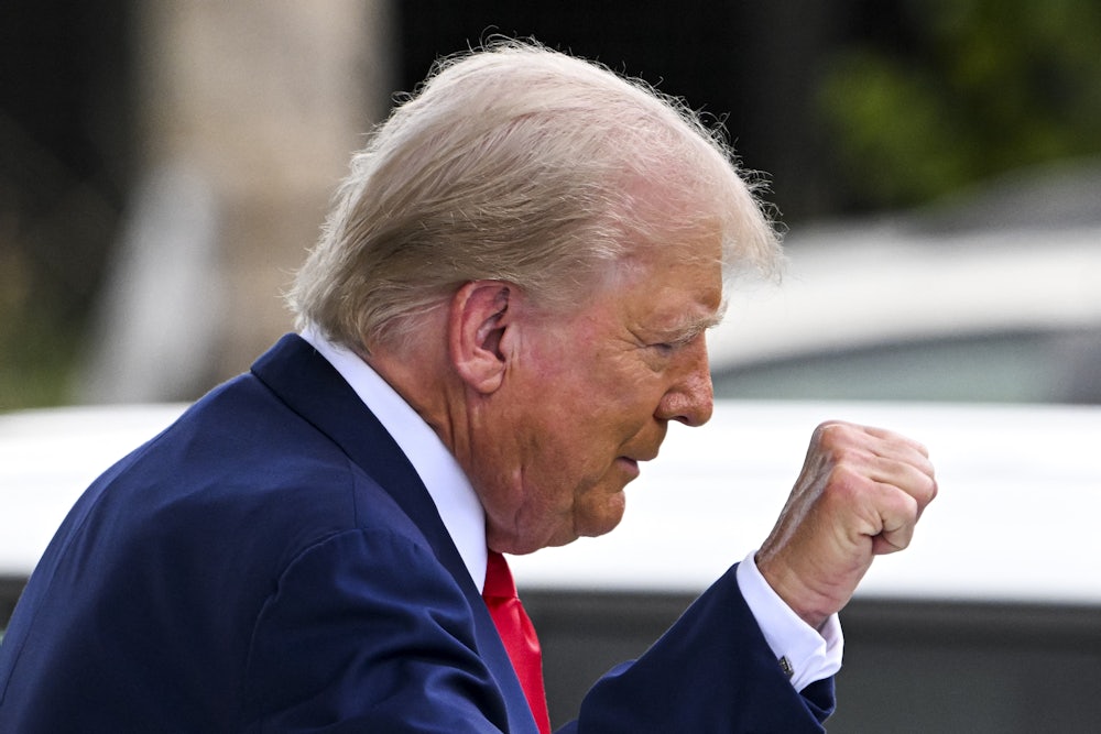 A picture of former President Donald Trump in profile. He is raising his fist in the air.