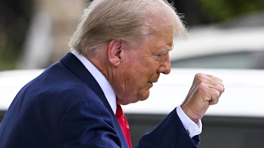 A picture of former President Donald Trump in profile. He is raising his fist in the air.