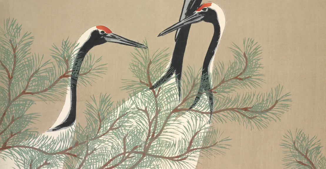 The Crane Wife’s Questionable Life Lessons The Crane Wife’s Questionable Life Lessons
