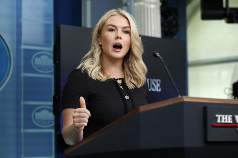 White House Press Secretary Karoline Leavitt during a press conference.