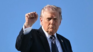 Donald Trump raises his fist